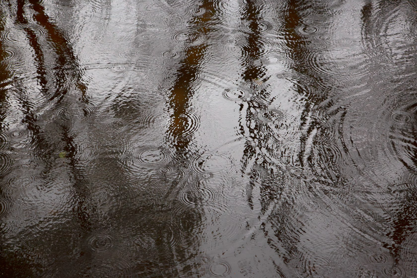 Rain falling on the Beaulieu River creates an abstract pattern of circular ripples.