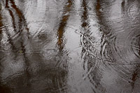 Rain falling on the Beaulieu River creates an abstract pattern of circular ripples.
